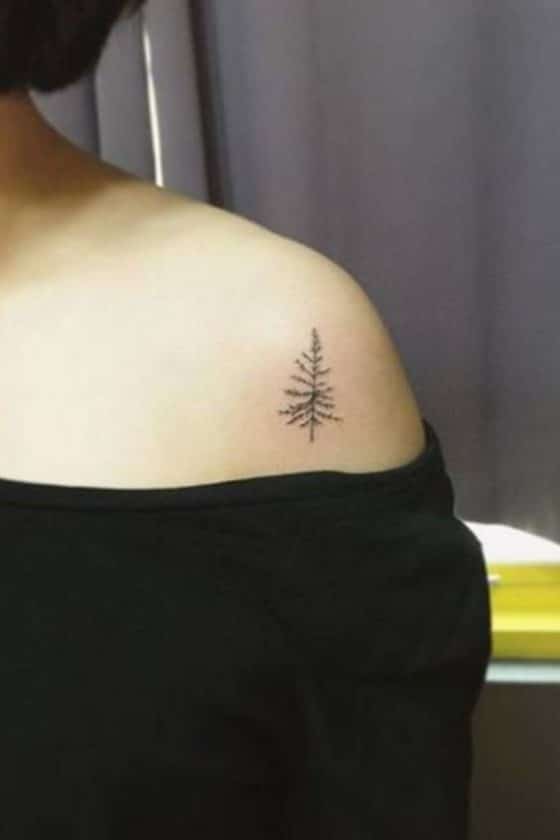 Evergreen Elegance Pine Tree Tattoo Designs