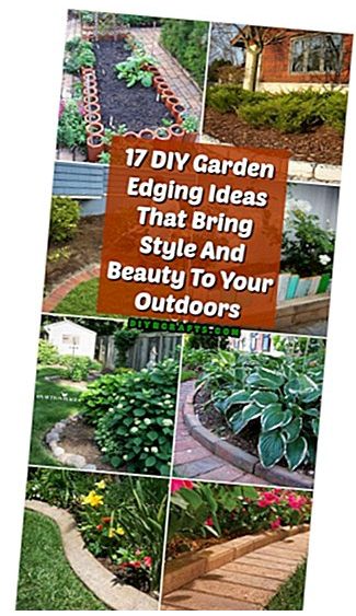 17 DIY GARDEN BORDER IDEAS TO BRING STYLE AND BEAUTY TO THE OUTDOORS