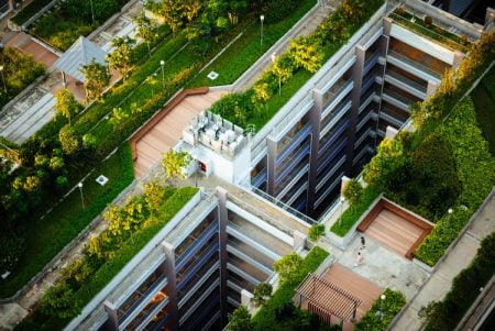 A Green Paradise Close to the Sky, a Roof Top garden