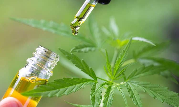 6 Benefits Of Using CBD Products You Must Know