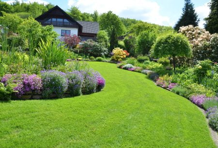 5 Landscaping Tips to Make Your Yard Bloom