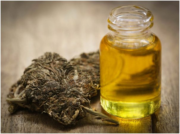 CBD Products: What is the Best Way to Take Them?