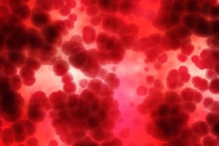 A Guide to Donating Plasma