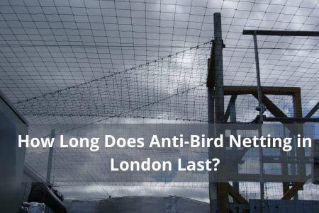 How Long Does Anti-Bird Netting in London Last?