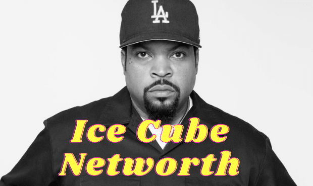 Ice cube networth