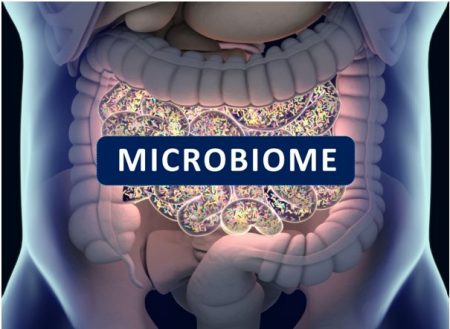 Understanding the Importance of Having a Healthy Gut Microbiome