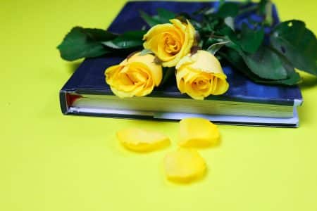 Ways to Keep Reviewed Your Flowers Fresh [5 Working Tricks]