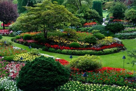 Interactive Landscaping Designs for Commercial Properties