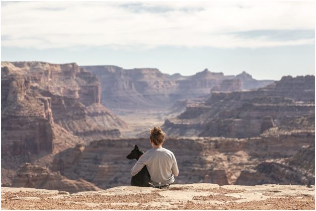 Traveling With Your Pets