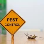 7 Simple Tips to Help Prevent Pests