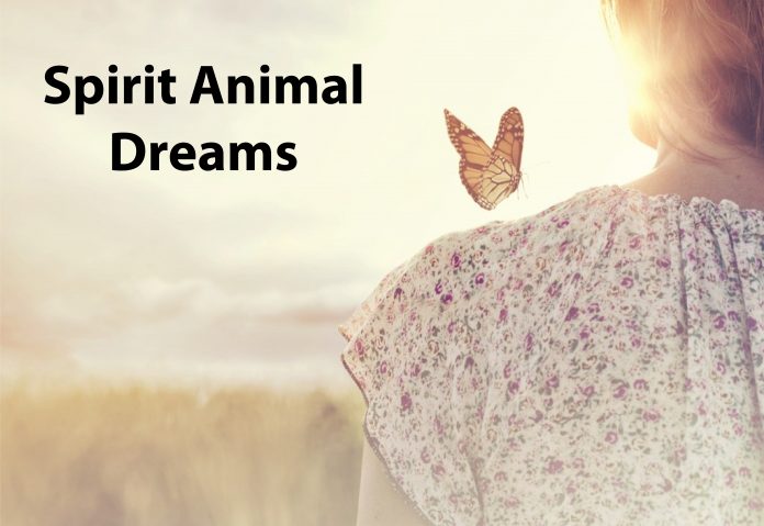How to Develop A Meaningful Connection With Your Spirit Animal