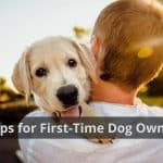 5 Tips for First-Time Dog Owners