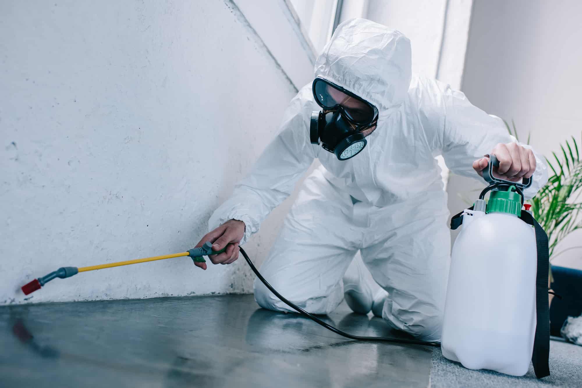Does My Business Need a Commercial Pest Control Service?