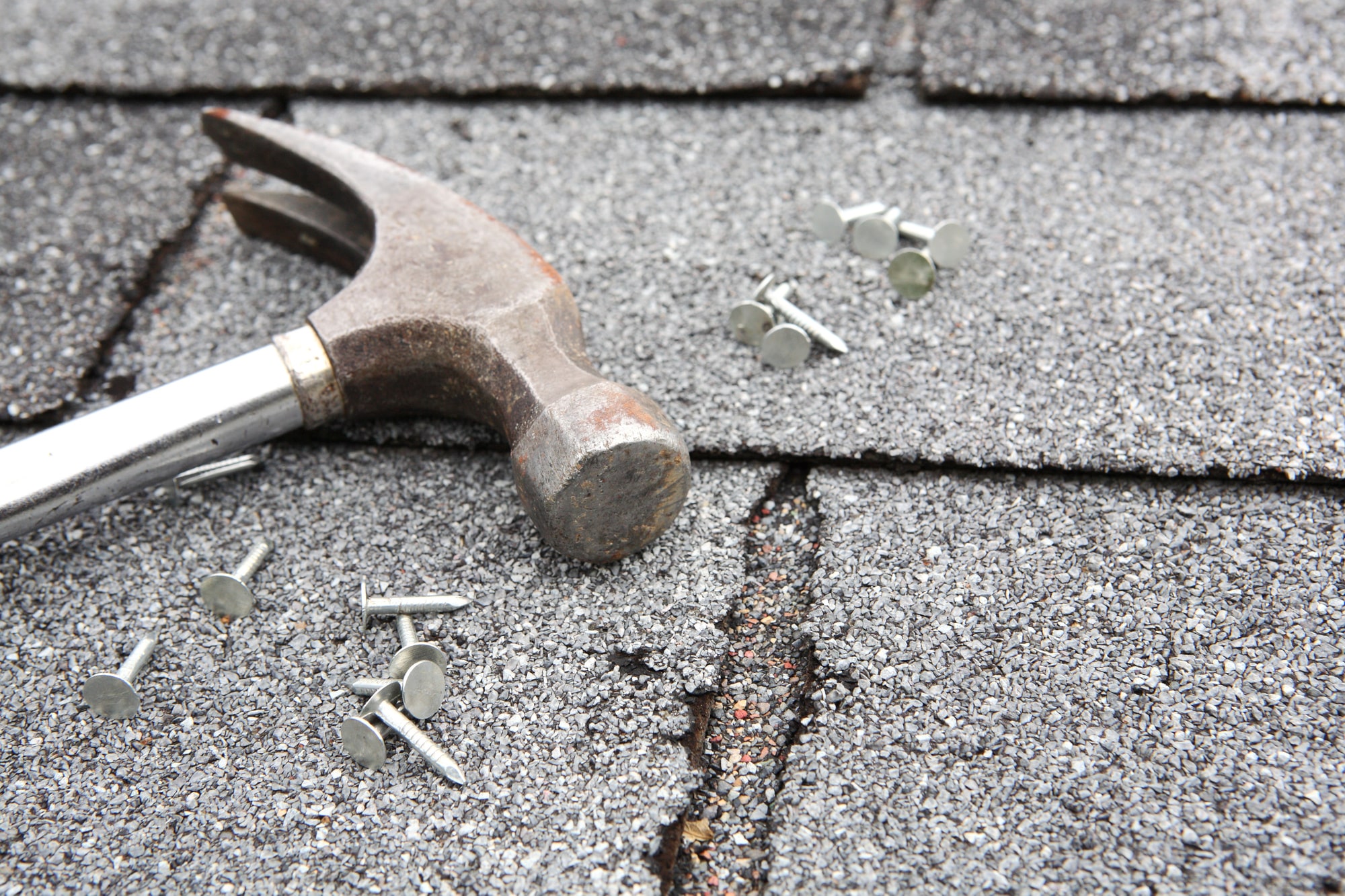 4 Warning Signs You Need a Roof Repair