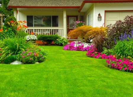 Simple Lawn Care Tips for Consistently Green Grass