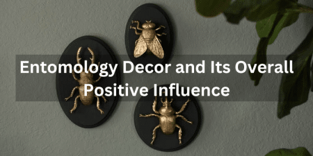 Entomology Decor and Its Overall Positive Influence Entomology Decor and Its Overall Positive Influence