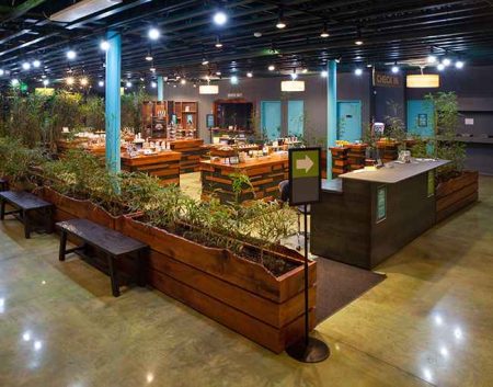 Positive Impacts of Recreational Cannabis Dispensaries