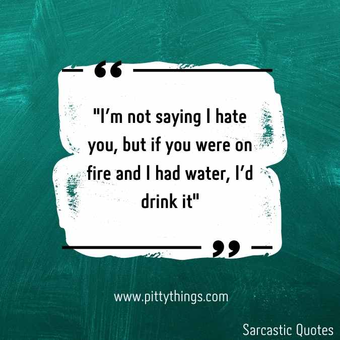 "I'm not saying I hate you, but if you were on fire and I had water, I'd drink it"