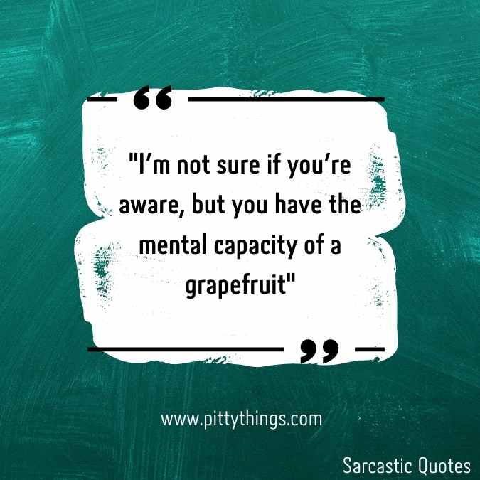 "I'm not sure if you're aware, but you have the mental capacity of a grapefruit"
