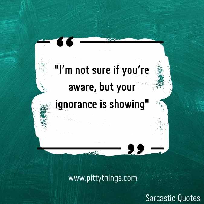 "I'm not sure if you're aware, but your ignorance is showing"