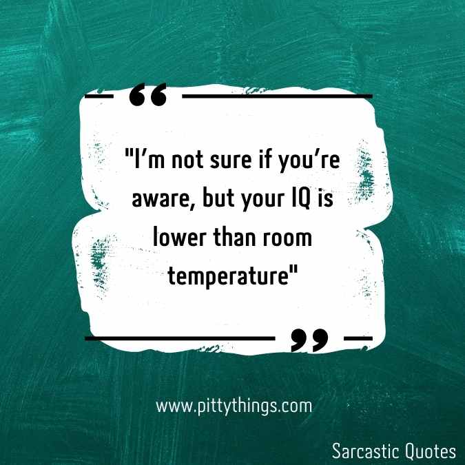 "I'm not sure if you're aware, but your IQ is lower than room temperature"