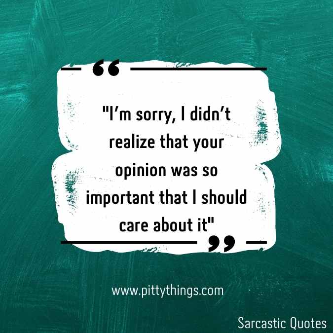 "I'm sorry, I didn't realize that your opinion was so important that I should care about it" 
