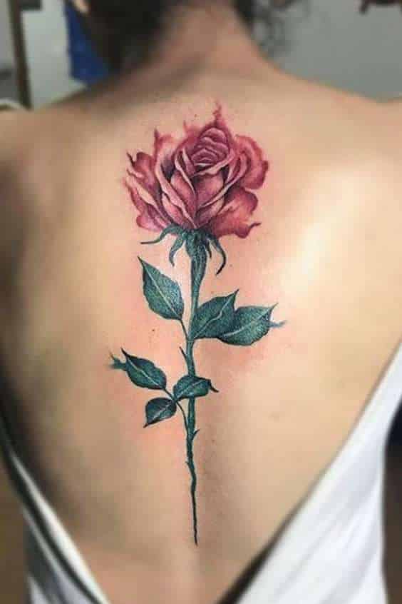 Rose Tattoos on Back - Spine Rose Back Tattoo
