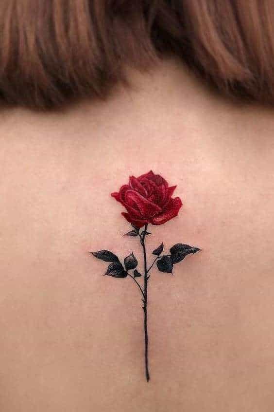 Rose Tattoos on Back - Spine Rose Back Tattoo