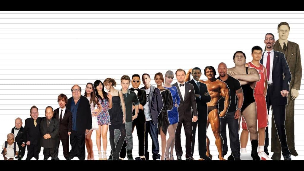 Hikaku Sitatter Height Comparison with celebrities