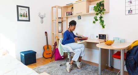 Best Tips on Greening Up Your Student Apartment