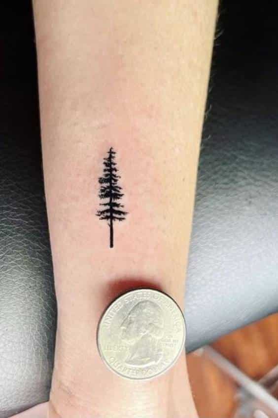 Minimalist Pine Tree Tattoo on Arm