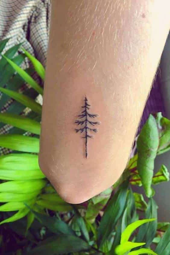 Pine Tree Tattoos