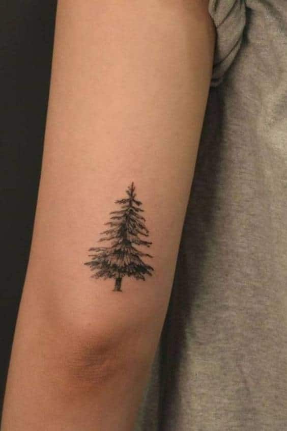 forearm back Pine Tree Tattoo