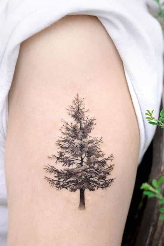 Pine tree Inspiring Tattoo about Strength