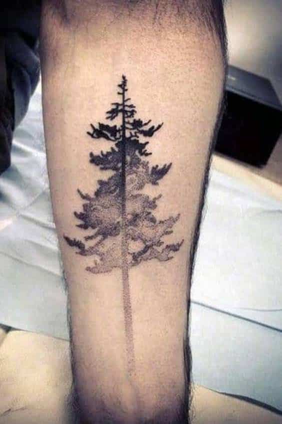 Pine Tree Tattoo Ideas for Men
