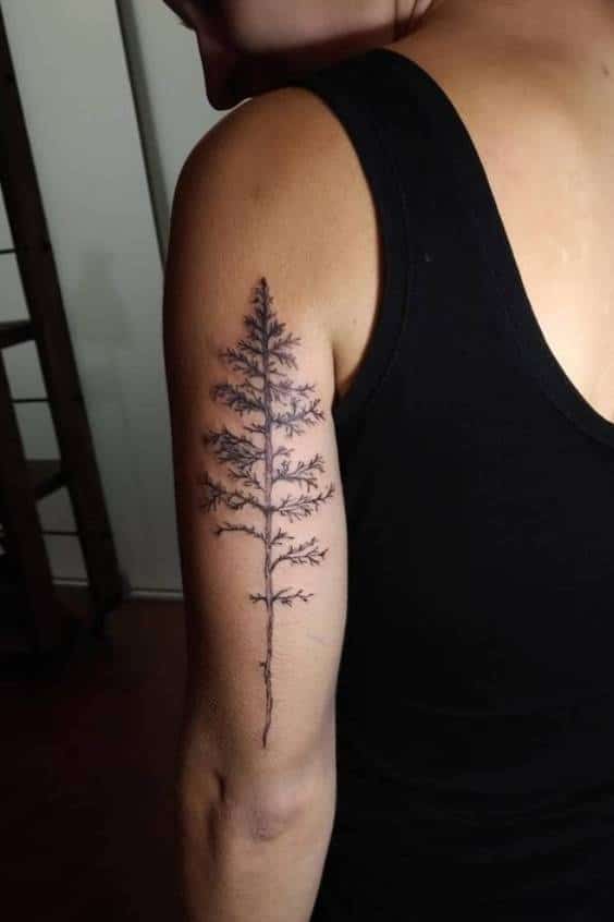 Simple and Easy Pine Tree Tattoo