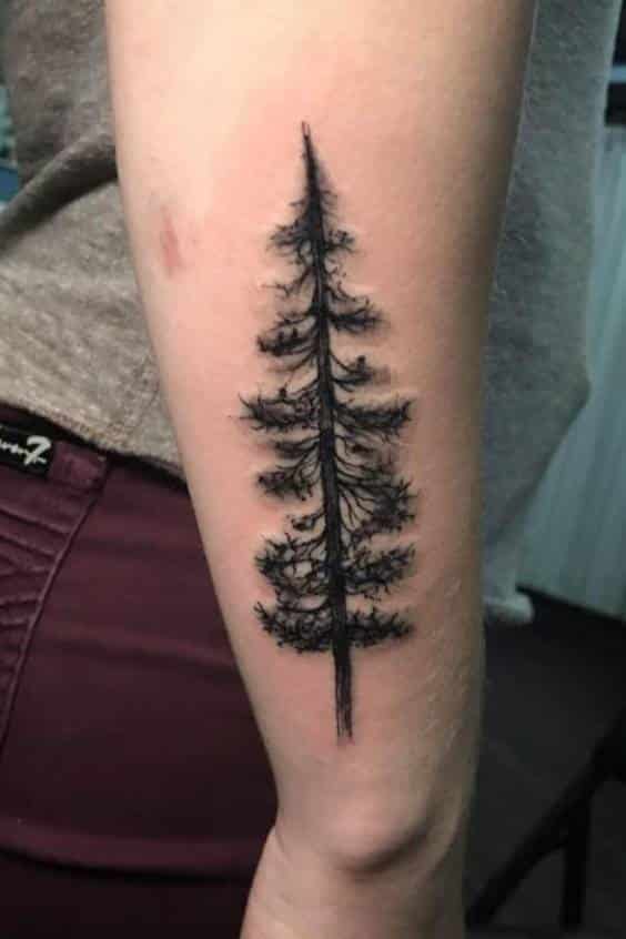 Dark Pin Tree Tattoos