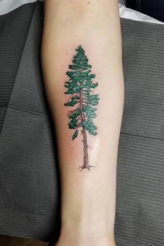 Colorful Pine Tree Tattoo Ideas forearm