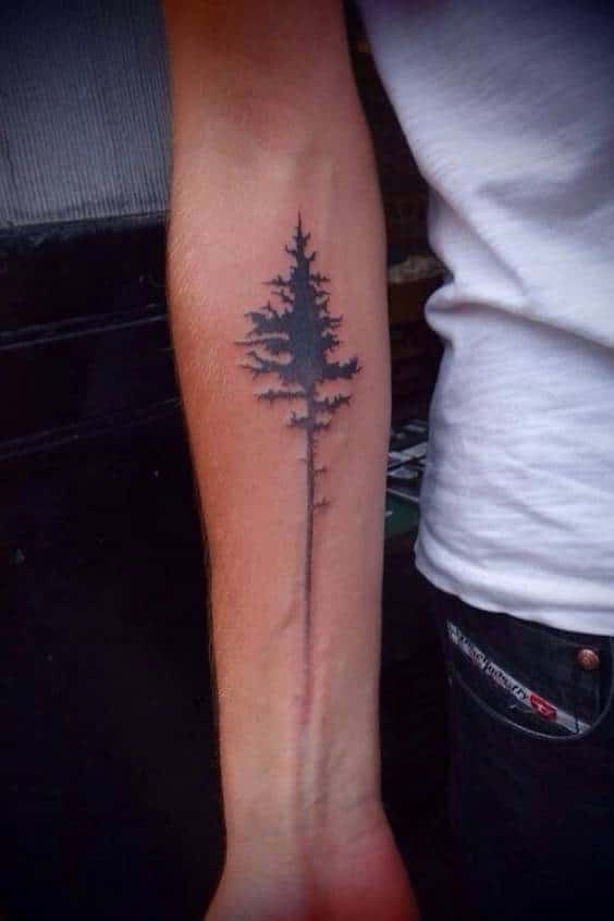 Forearm  Pine Tree Tattoo Ideas for Men