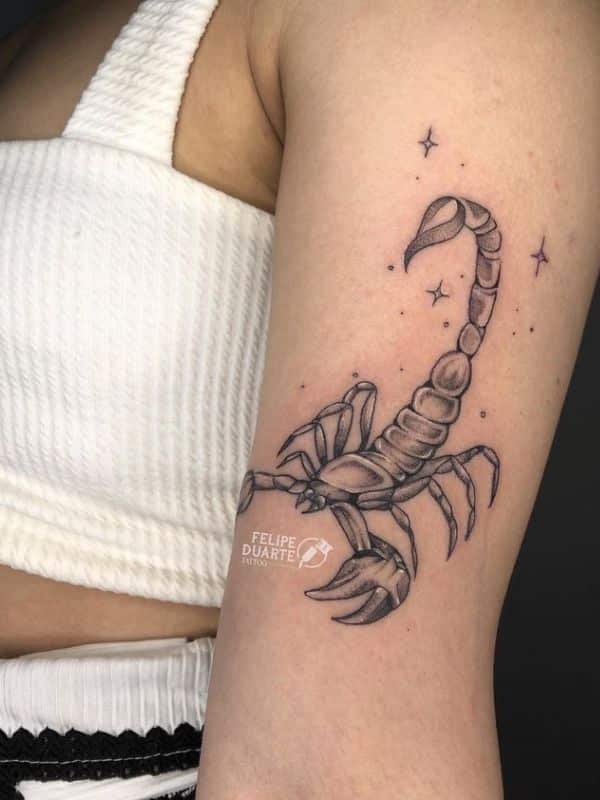 Scorpion Tattoos on Forearm