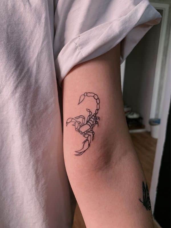 Black Scorpion Tattoo on  Sleeve