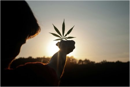Cannabis Dispensary Choice