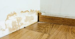 Pros for Water-Damaged Drywall
