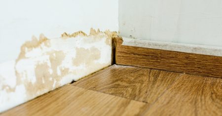 Pros for Water-Damaged Drywall