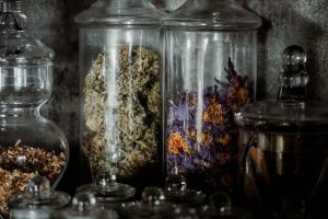High-Quality Weed Dispensary