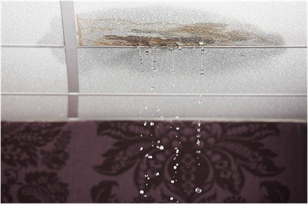 Clogged or broken gutters