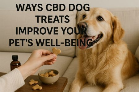 5 Ways CBD Dog Treats Improve Your Pet’s Well-Being