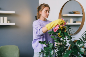 Annual Home Maintenance You Can’t Afford To Ignore Annual Home Maintenance You Can't Afford To Ignore