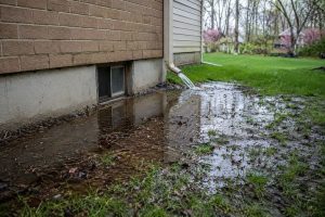 The problem with poor drainage around homes in spring Create a realistic feature image for "The problem with poor drainage around homes in spring