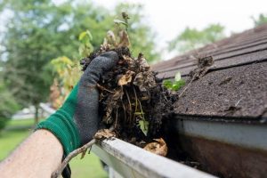 Why Regular Gutter Cleaning Matters for Pittsburgh Homes Gutter Cleaning